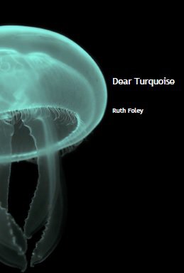 Dear Turquoise by Ruth Foley