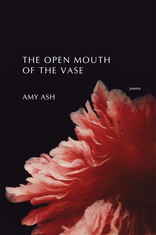 “Pain, love, regret, joy, longing, loss, humor, and an earthy sexuality all find memorable expression in these poems. Ash has a gift for reversing reader expectations in illuminating ways, as well as for coining metaphors that startle with their aptness and their ability to refresh the world. I congratulate Amy Ash on having written this book, and you, reader, for the journey you are about to make.”