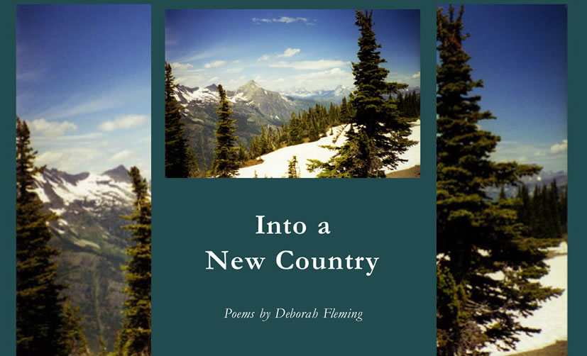 Into A New Country, Deborah Fleming