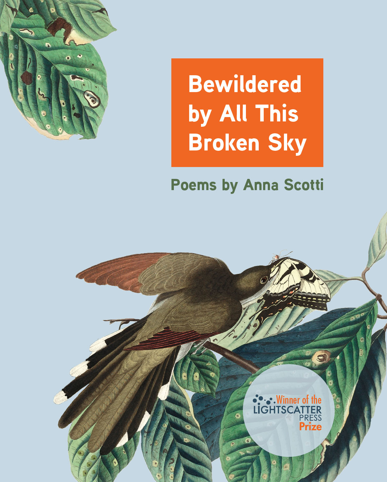 Bewildered by All This Broken Sky