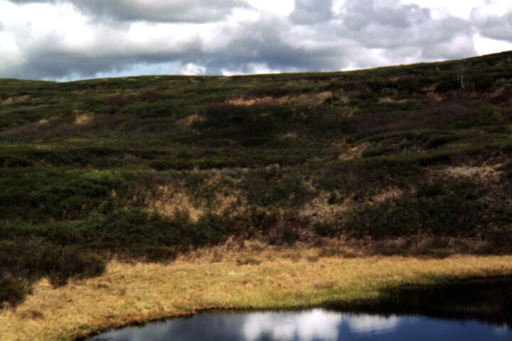 Reflection Arctic Pool_xAND