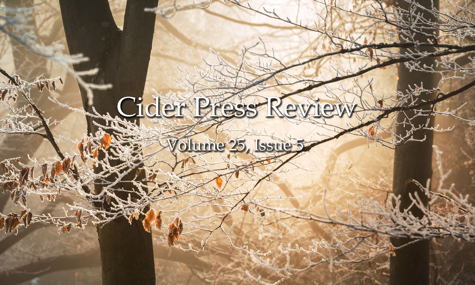 Photo by Ales Krivec on Unsplash