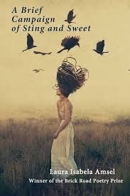 A Brief Campaign of Sting and Sweet by Laura Isabela Amsel